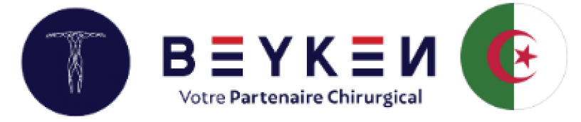 Logo BEYKEN