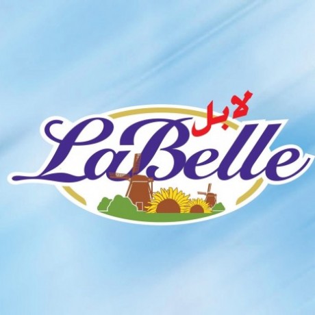 Logo GROUPE LA BELLE