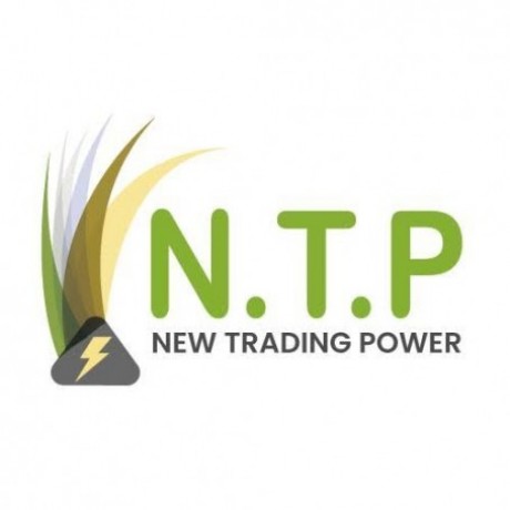 Logo Sarl New Trading Power